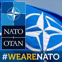 NATO Internship
